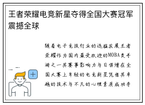 王者荣耀电竞新星夺得全国大赛冠军震撼全球